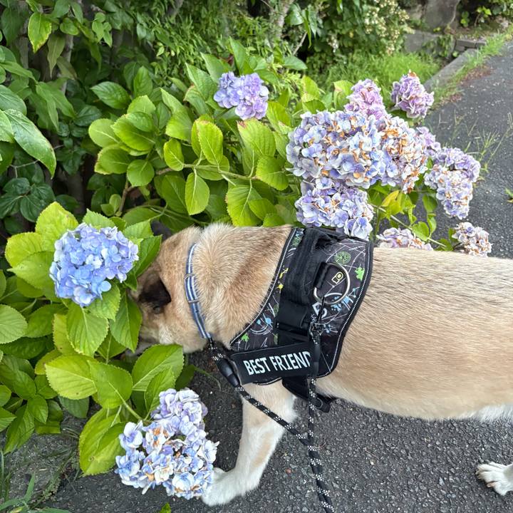 9f2327ff 6a06 46c3 be09 072df32a8b4e 1752064739966