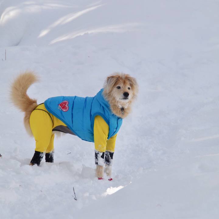 9f232949 ec2e 4403 b236 fc4e6f3c3935 1610409742534