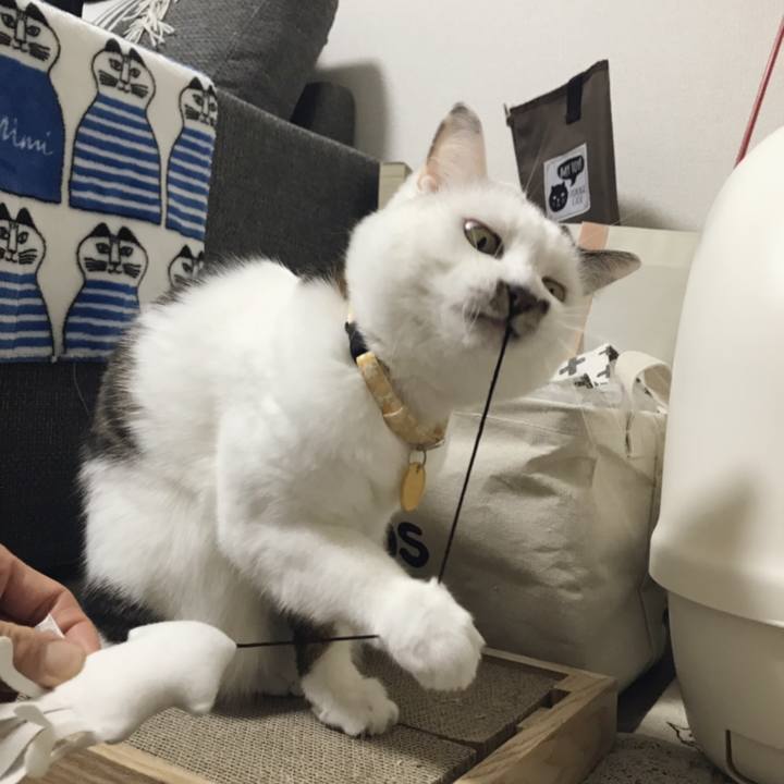 9f23aa6c 0044 407c 8ab0 6938d28845e1 1548318383721