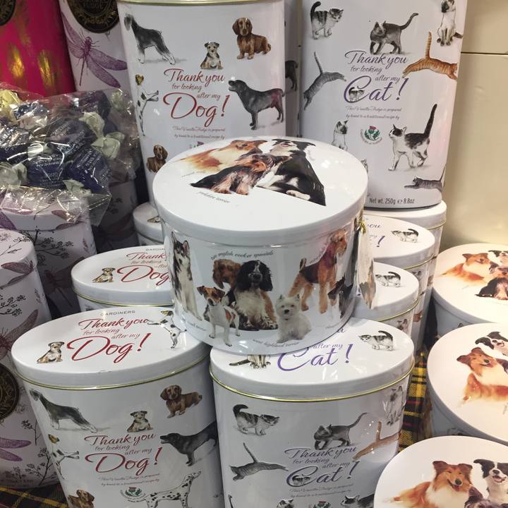 9f2400ab b209 409a 8c30 8af66d2b74db 1509260187380