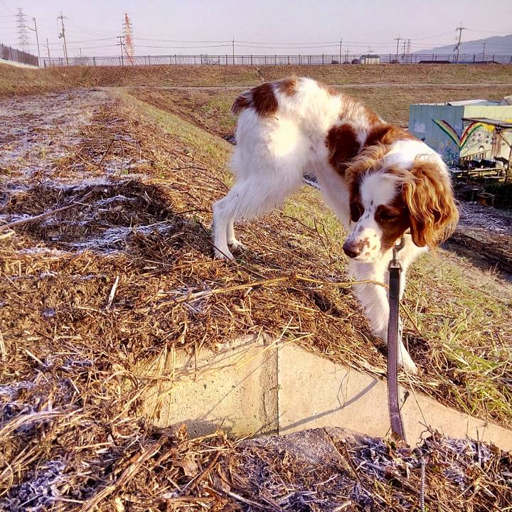 9f24038c ea87 4929 bf11 edd72e3a1d2d 1516494631295