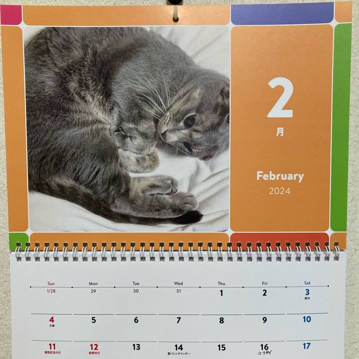 9f240b11 83f8 431c 80d2 61ba4c84864c 1706939733710