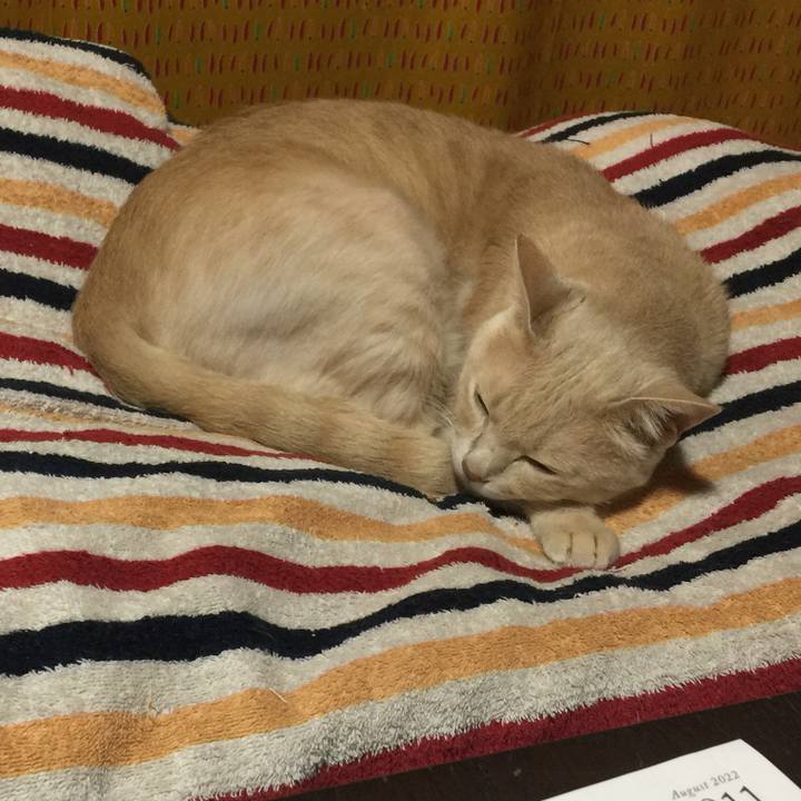 9f242af9 12cb 460b b5ba cd67007a9ace 1661641850774