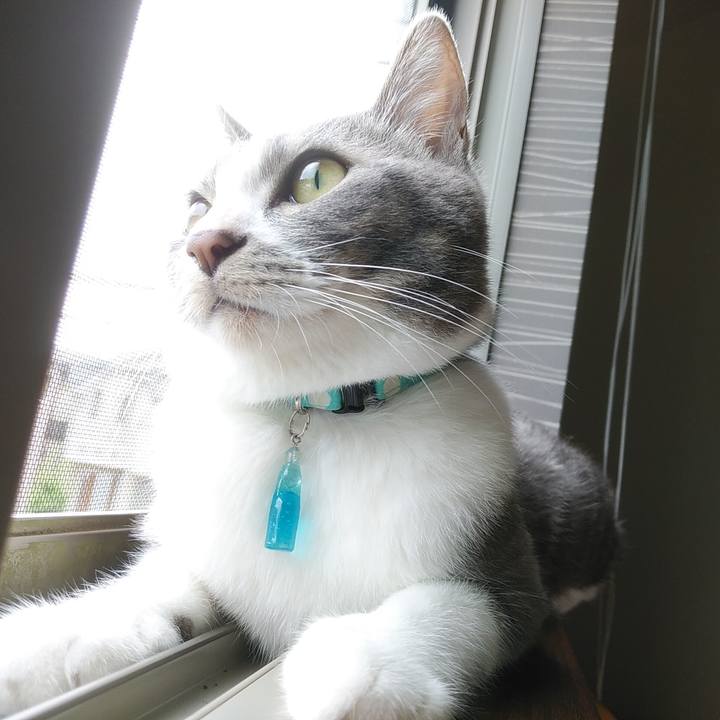 9f242c00 d4dd 4679 a413 43b295b4acdb 1589147251978