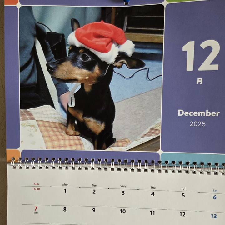 9f2444a0 a29d 43ea b015 3fc256992a49 1764568885358