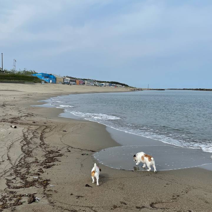 9f24525d 4c28 496e 93e5 3053f5e6d6e1 1621814196747