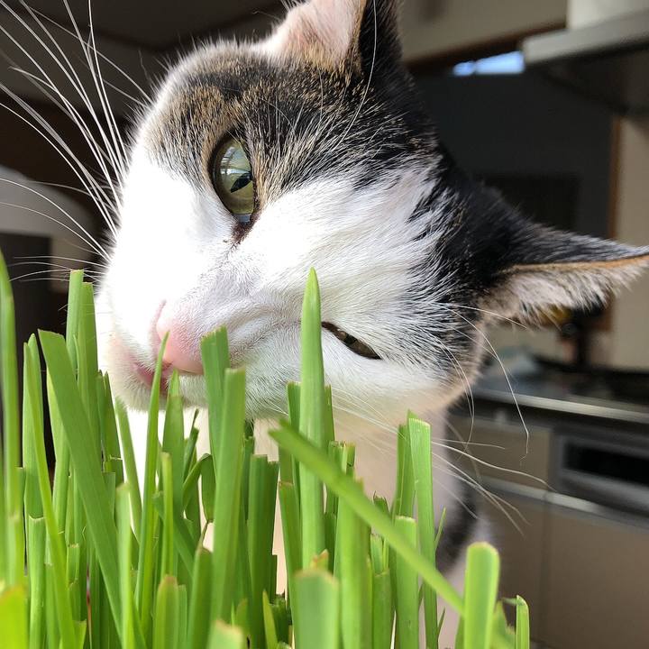 9f246746 52e9 4e7d 8302 2c7cb17a18e4 1659048460114