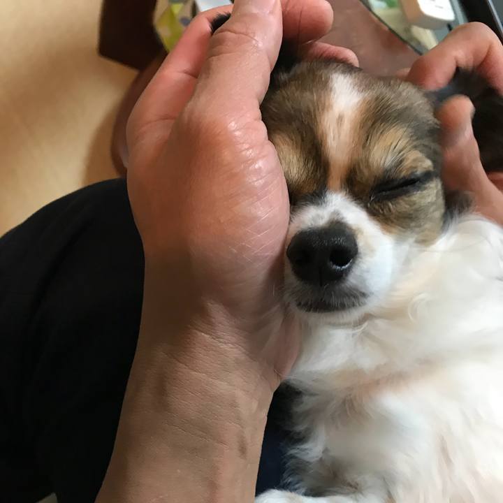 9f246884 904a 4664 aa9b 2fd5b4bb1aa8 1508599949884