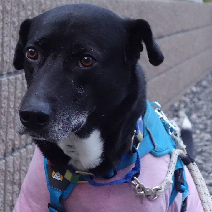 9f246e05 cdb6 4990 a593 258a038f8557 1683282431862