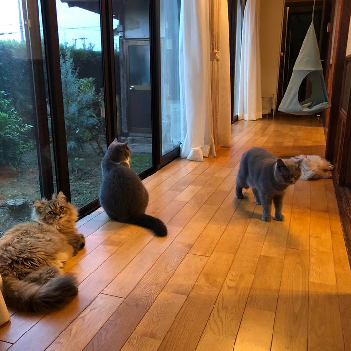 9f251495 d2e3 40b8 872d 6e657220c626 1569746175274