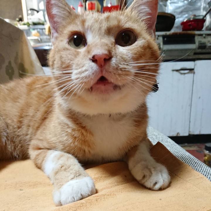 9f251ca1 03d3 4566 9131 52f02c6c758d 1568118783477