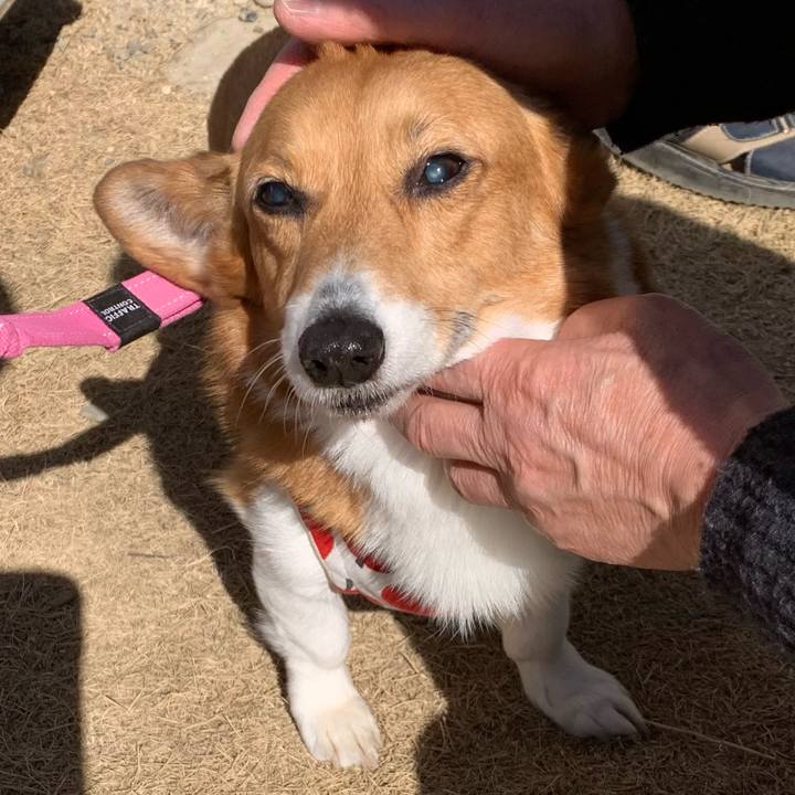 9f252241 0419 4e9a bb89 4fb63720552f 1707880469211