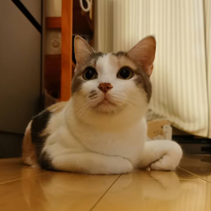 9f252571 3566 48e7 b373 7870a3e2bc28 1632209952944