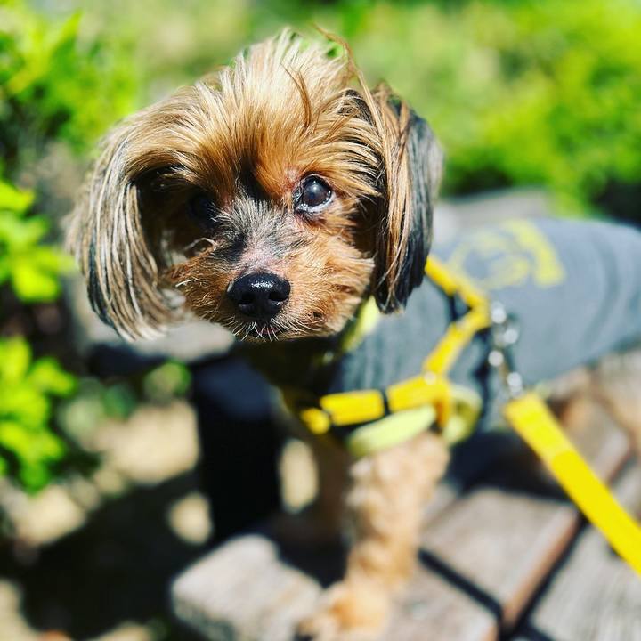 9f259000 465e 4c88 b32c 9f41984fe073 1696649799152