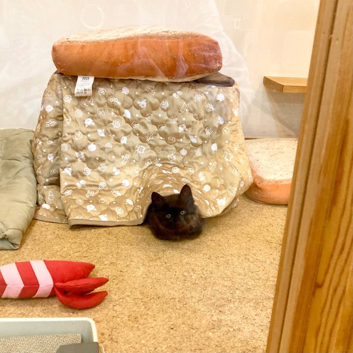 9f25a219 1efe 4712 a1e0 cbe7a578065a 1698670841221