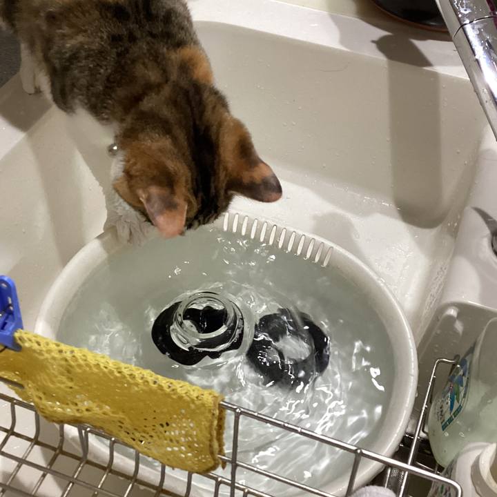 9f25bc73 7bb4 4701 9f18 b06589db691b 1648267440439