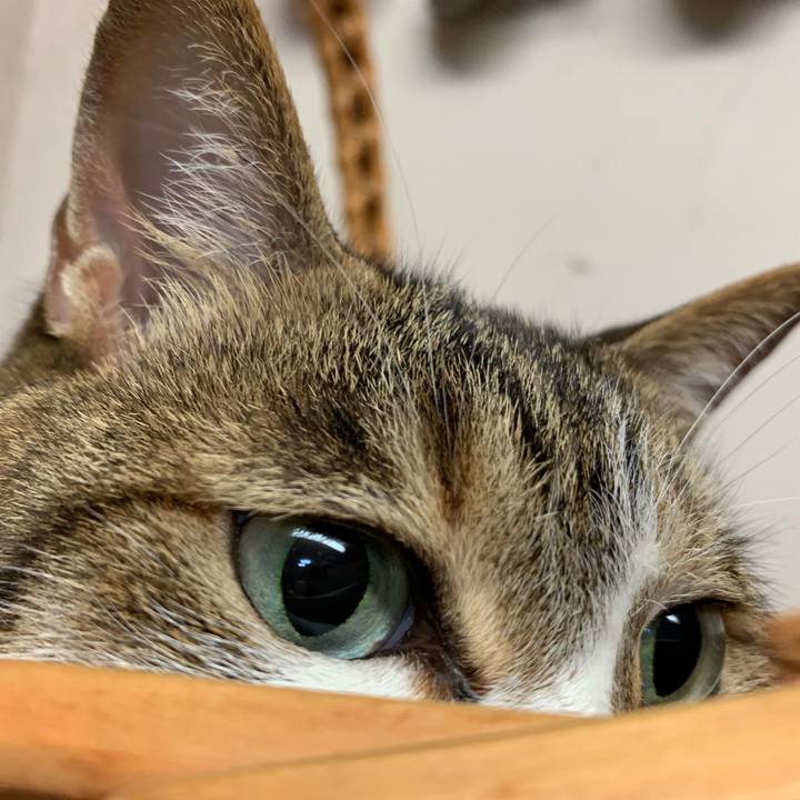 9f25c9f6 ece0 4772 8cb1 d321568e52cb 1563979746180