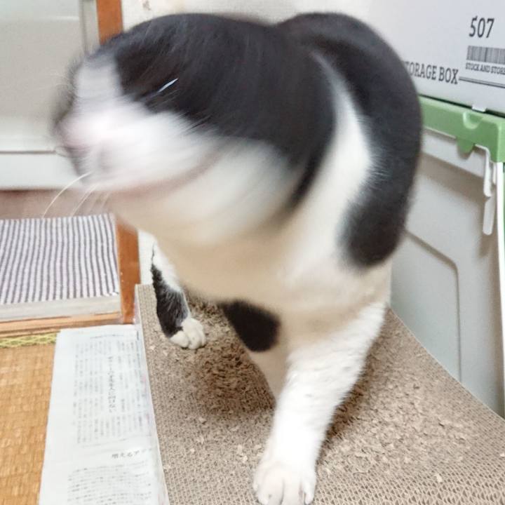 9f260054 97ab 423f 9a59 172a3a250410 1676168634476