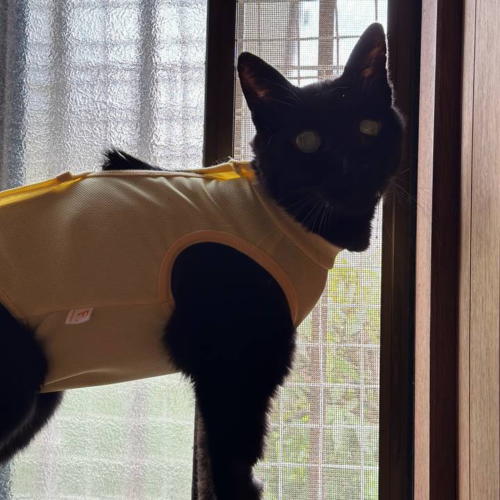 9f260f58 f828 496d 940f c260a74a9214 1713924697628