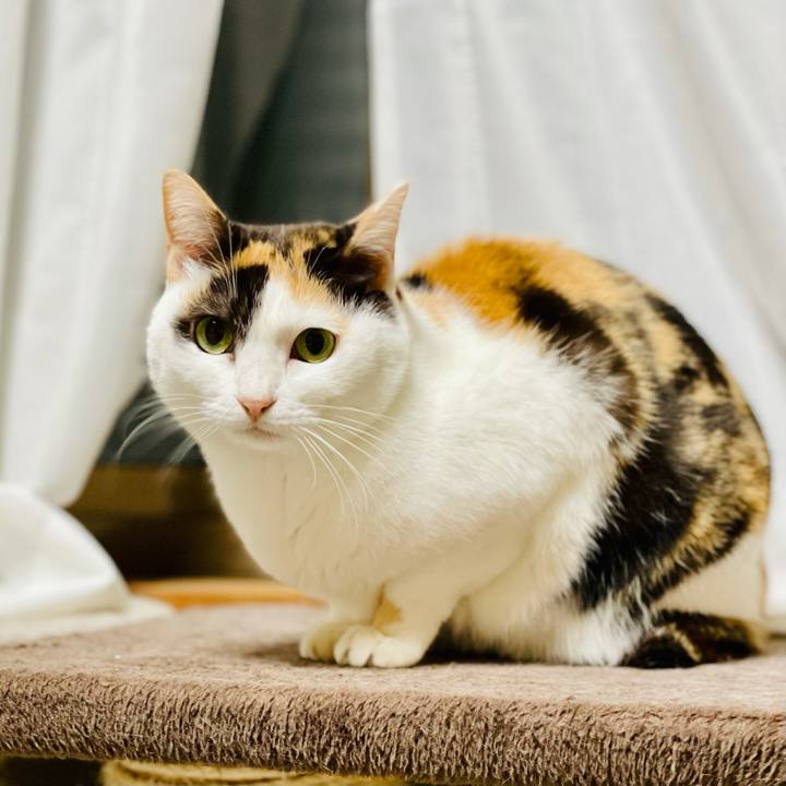 9f26548c 1b1c 473c a3c4 df3618e62dda 1617157677465