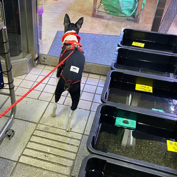 9f2676c0 459e 4cab 9026 575b2c7747ca 1618488105634