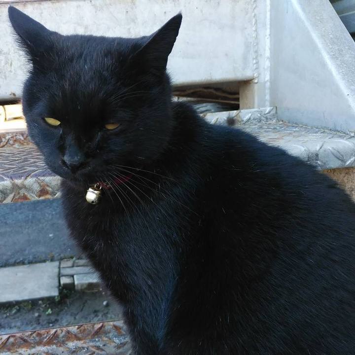 9f26b649 e69b 434d 8b21 573a7b7fc072 1577147002566