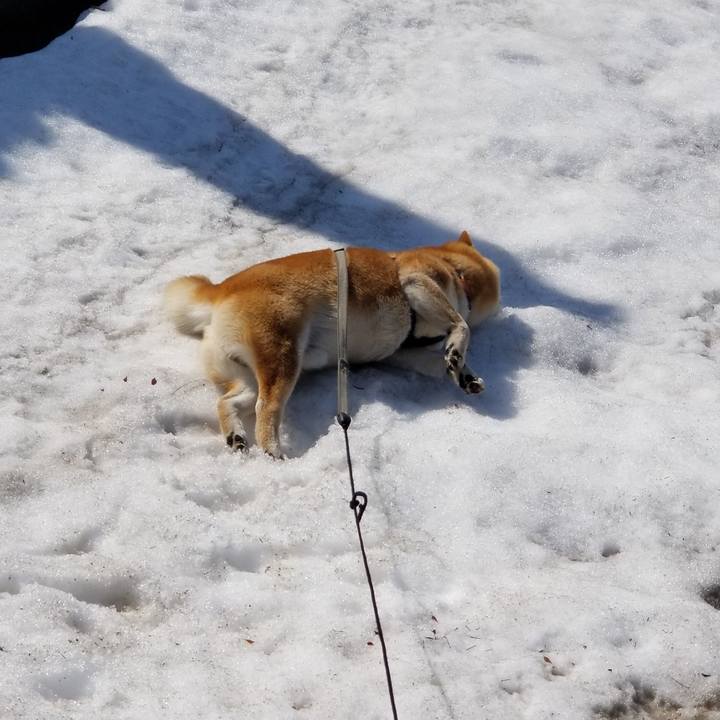 9f272c82 a644 47ac 967b 5ee51430b879 1553052874641