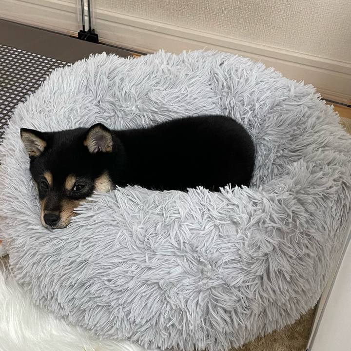 9f274e59 3e1e 4354 9e60 d24214a5e998 1679392198899