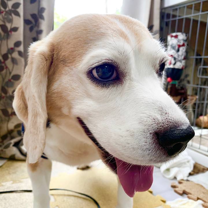 9f275016 1fd1 47ad b15b cd395c824b1a 1594439982720