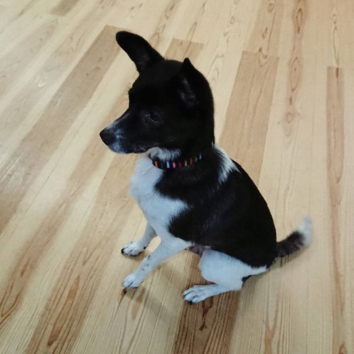 9f276e45 bfa6 4b99 a8de 683fac05c376 1601380195145