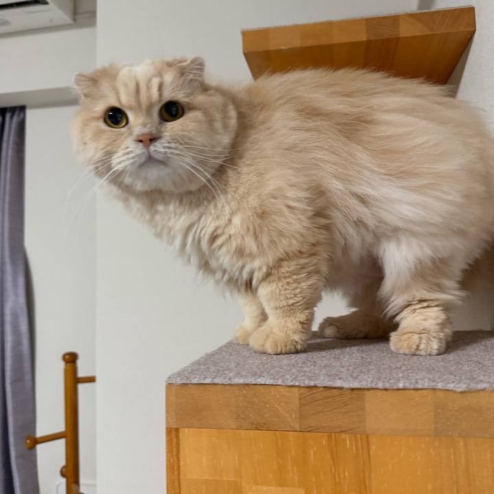 9f278b0d 82c9 4b79 82c1 175c0b15a54d 1771296435829