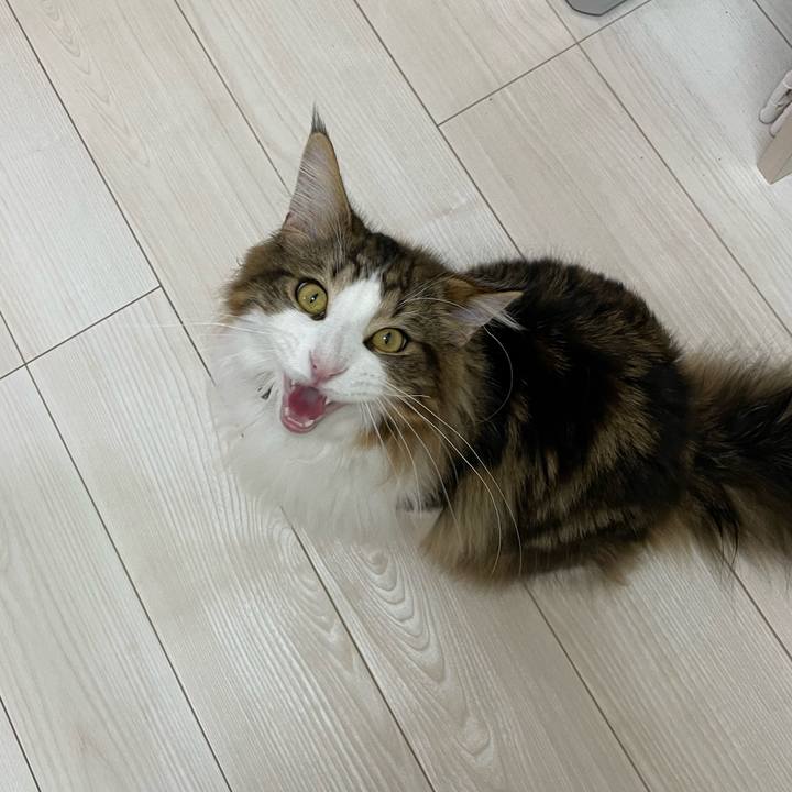 9f27c165 75d0 4d61 aa28 6e7d76c9c4f4 1645610375361