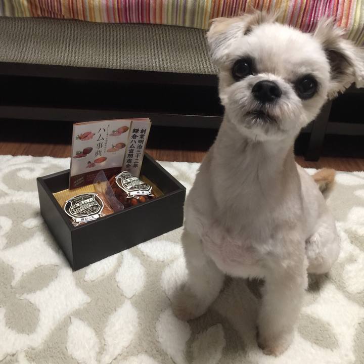 9f27c1db 4b81 494d 8d81 97a08b7b3ef5 1543663802109