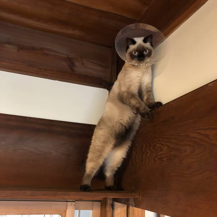 9f27c62a 3875 4162 8a8a bee205b5a149 1599350453300