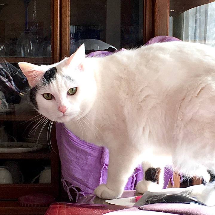 9f27c66a 796f 4158 8ca2 009fc7e4dd88 1572420890841