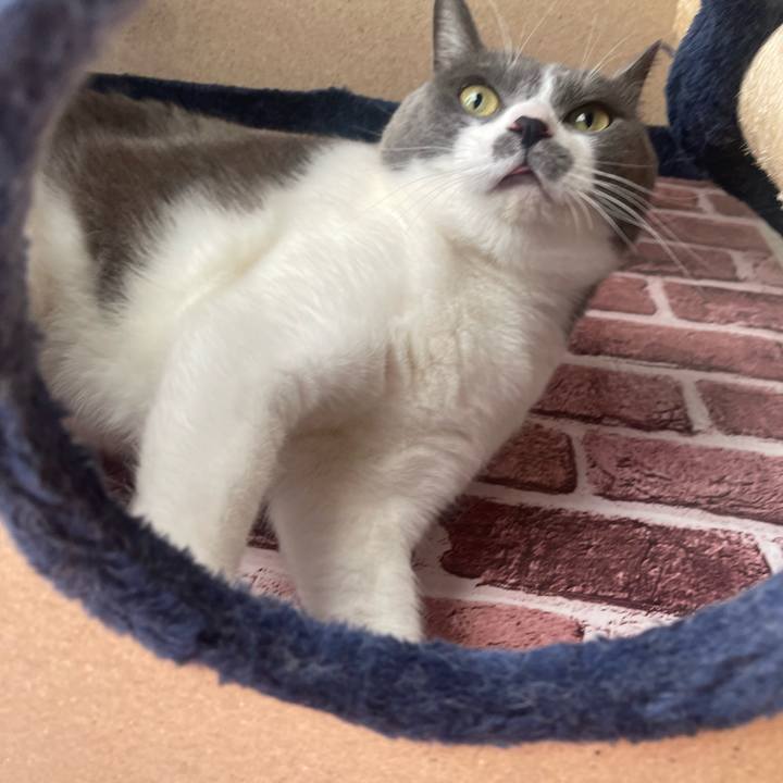 9f280189 cb53 4738 bf78 f035ea3a42bf 1699143247123