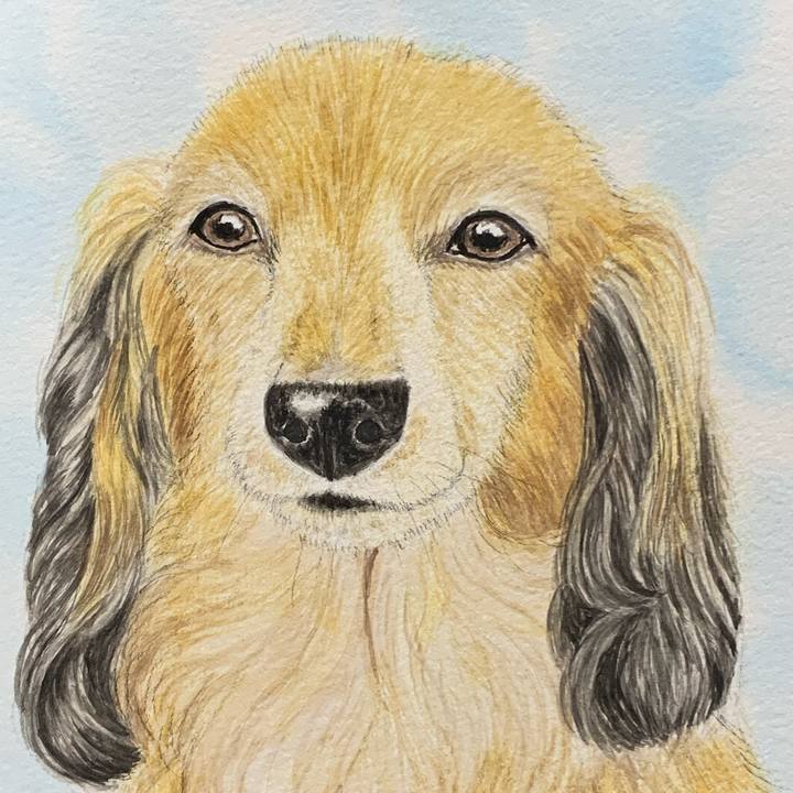 9f2803aa 127a 4f3c b1d8 d475f4a2d98f 1698659464495