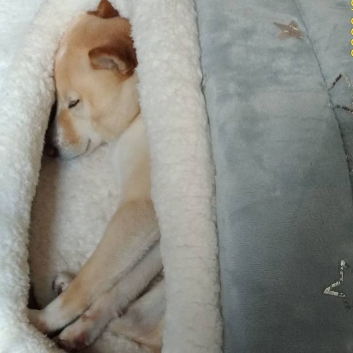 9f283848 61d2 482c b156 5ec721fa9732 1580904398377