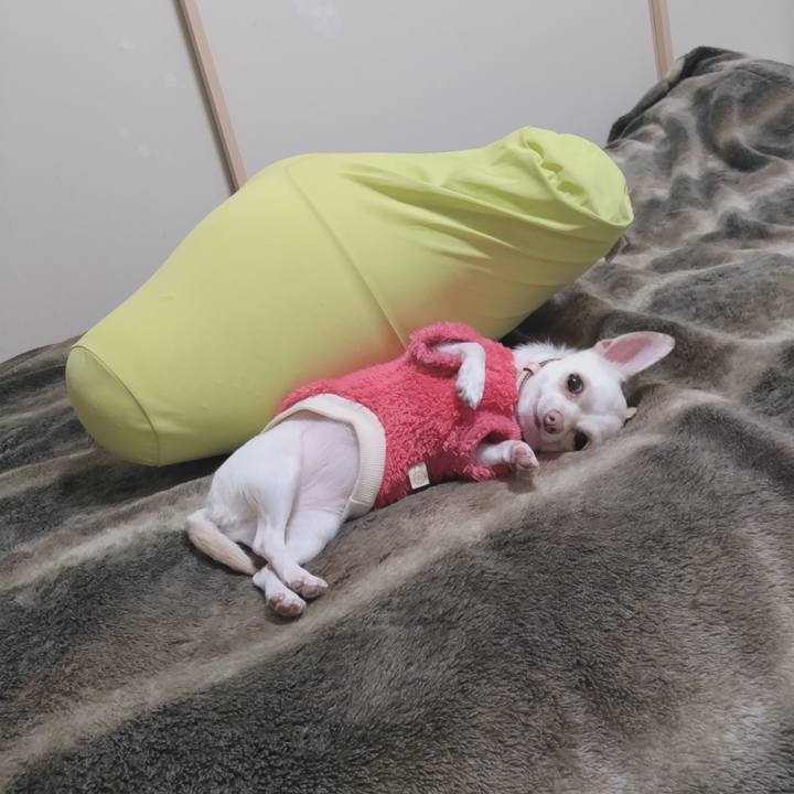 9f285d3f 3ffa 484e aed3 271343b74b5d 1737884665166