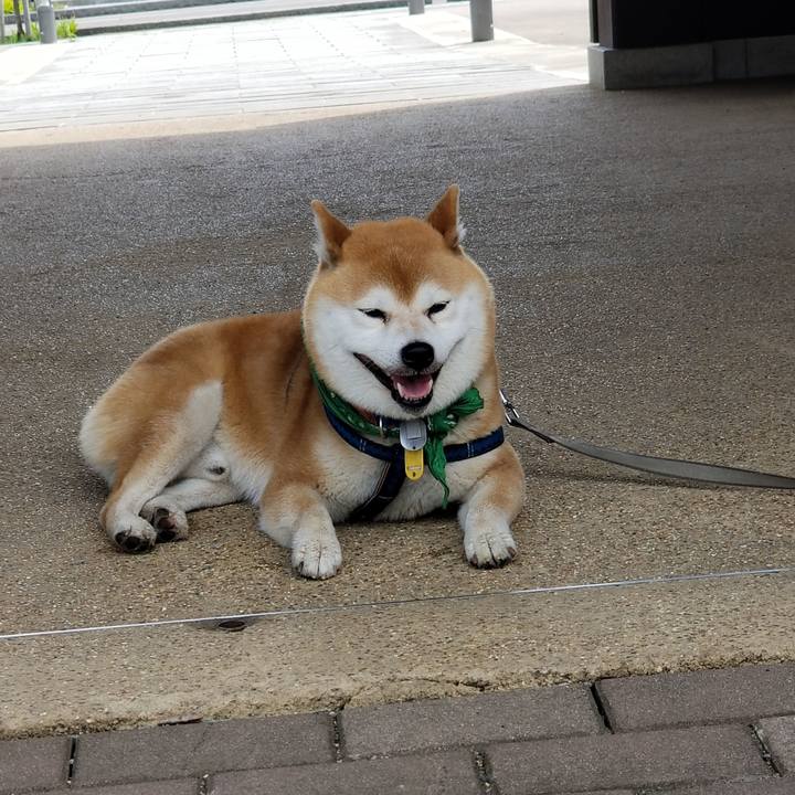 9f28921a d9c4 44f1 97ca d59d9dfd4ee9 1557120977067