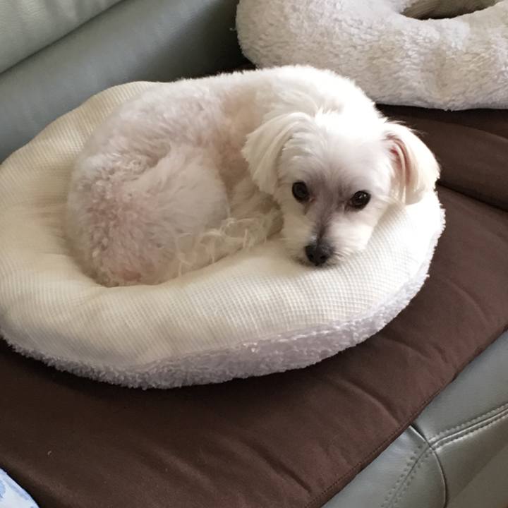 9f28da19 90eb 43de 8018 f8c78576792e 1569542345846