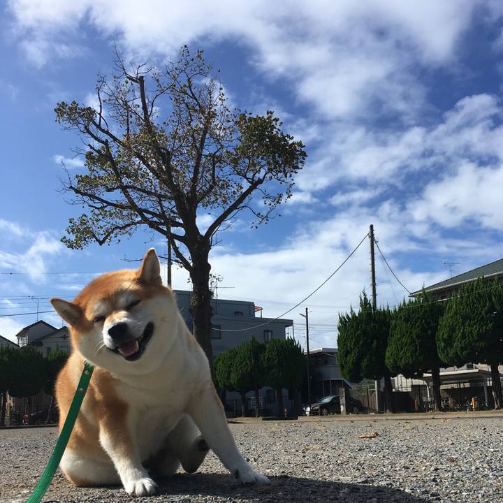 9f28db99 4c8b 4776 bbda f788f9bb4e8f 1599091993383