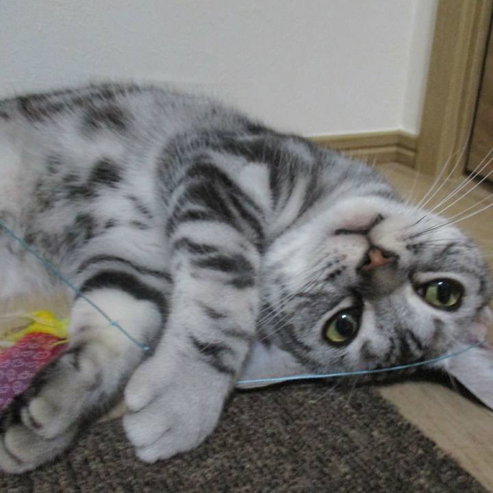 9f290ee4 f36d 4858 82d1 c0538febf702 1565772863893