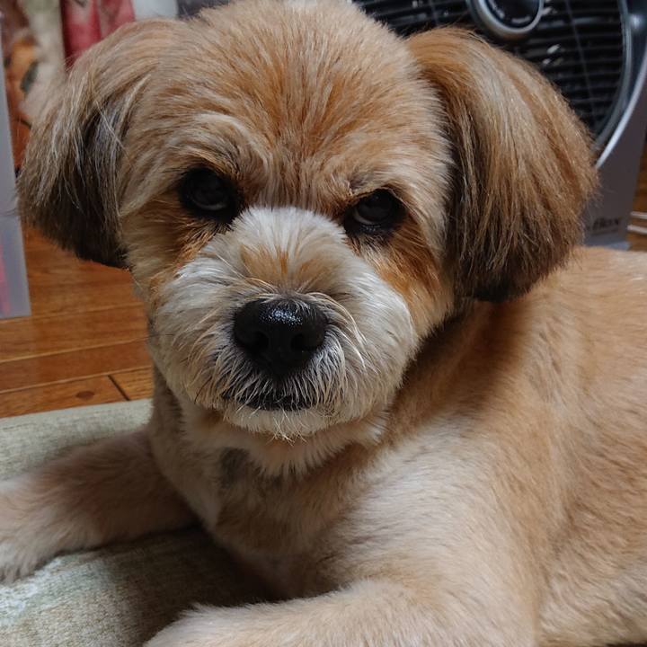 9f292d2e 9439 4886 8c13 68384d01f02a 1594377065367