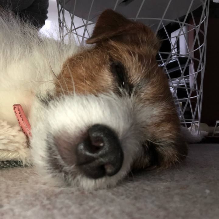 9f29664d ce76 4266 b506 746e2d0fd191 1611741452165