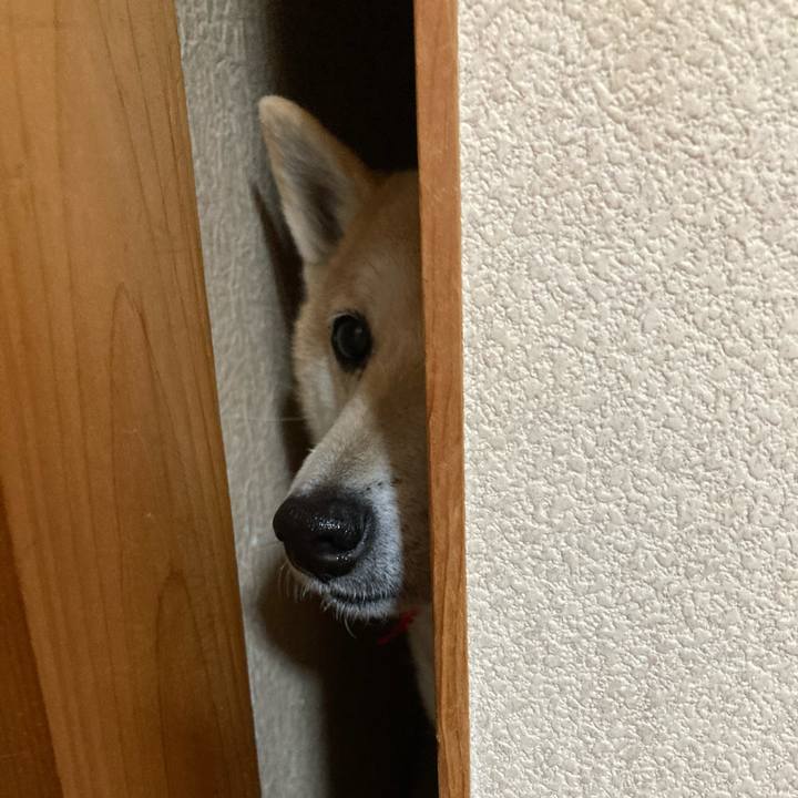 9f29732a 1ebd 45fd af9b 87c75799e7c7 1616930942152