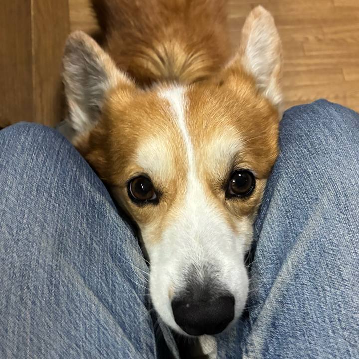 9f2973de 8178 4fb9 aba0 3a36ed8f24dd 1774228989718