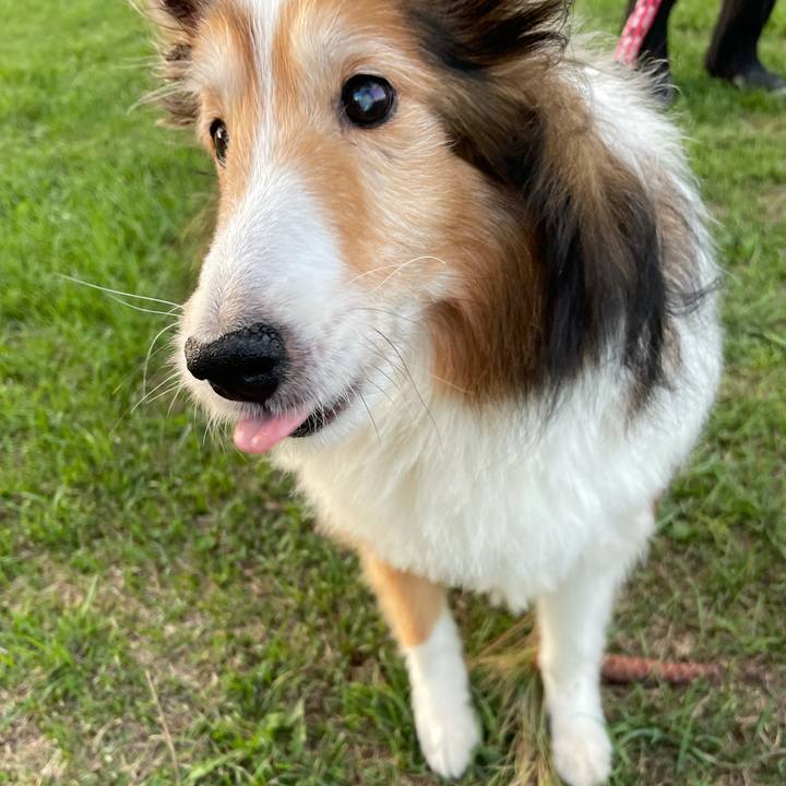 9f29a6b2 b277 4684 941b c7af069f9cbc 1630061733633