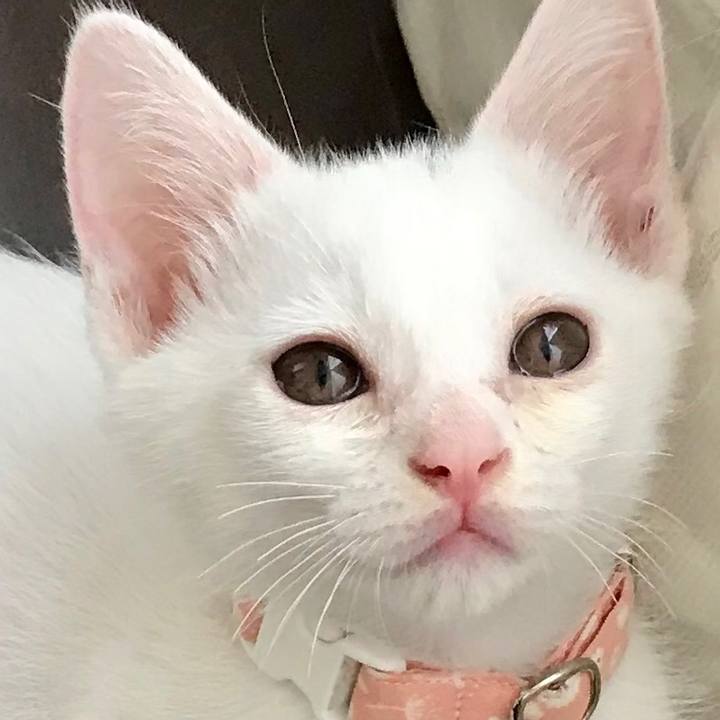 9f29bb3c cf84 4dfe b515 17359b61774e 1565392341438