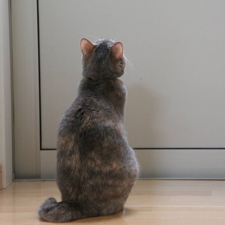 9f29d6d7 77ca 43a7 a3a5 481c2e795d1f 1521075894661